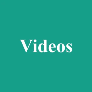 videos bg 2